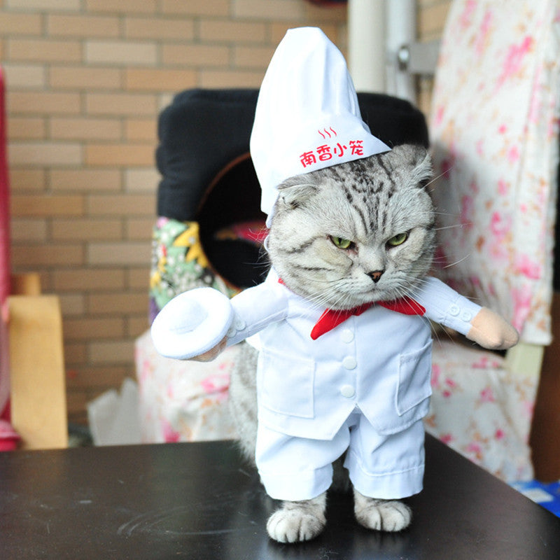  Coomour Cook Cat Costume Funny Pet Clothes with Cook Hat  Kitten Cosplay Clothing Puppy Chef Shirt for Small Dog Outfits (L,White) :  Pet Supplies