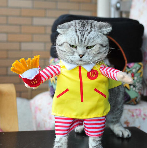 Cute Cat Halloween Costume - Fast Food Character Clothes