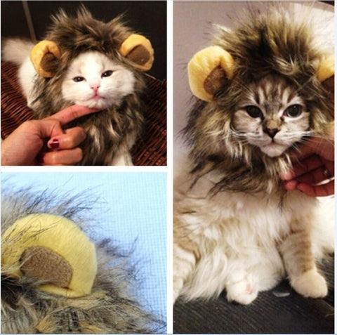 Cat Lion Mane Wig Halloween Costume