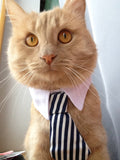 Cat Necktie Costume
